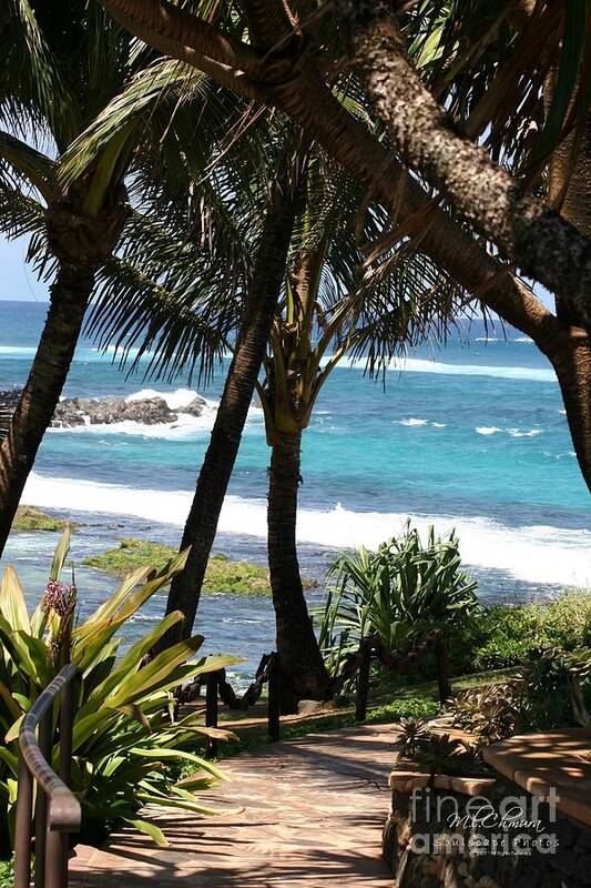 Landscape Images Poster featuring the photograph A Maui Afternoon by Mary Lou Chmura