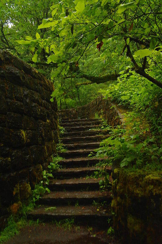 Green Poster featuring the photograph A Stairway To The Green by Jeff Swan