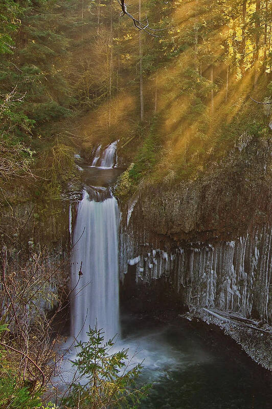 Waterfalls Poster featuring the photograph Abiqua 2 by Ulrich Burkhalter