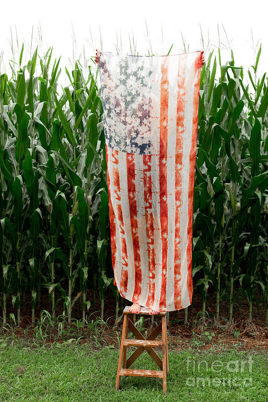 American Flag Poster featuring the photograph American Flag and a Field of Corn by Kim Fearheiley