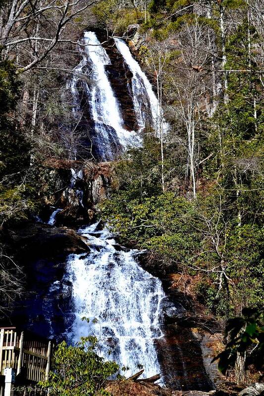Anna Ruby Falls Poster featuring the photograph Anna Ruby Falls I by Tara Potts