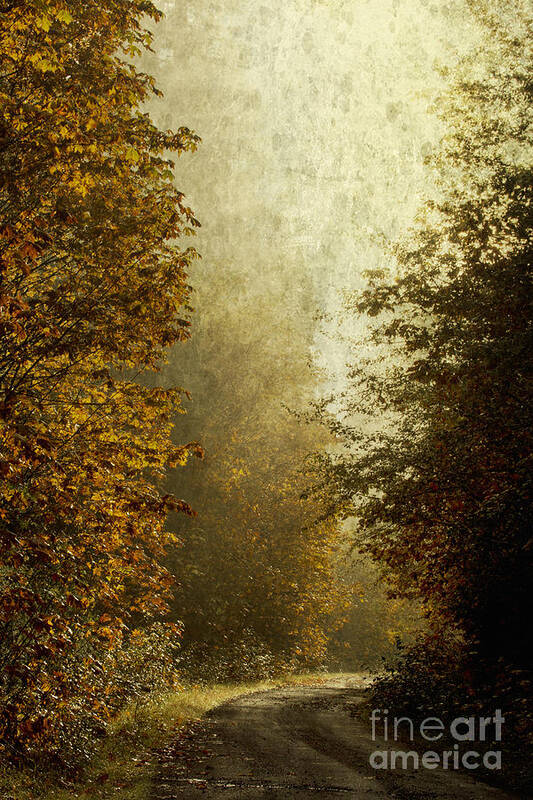 Fall Color Poster featuring the photograph Another Road Travelled by Belinda Greb