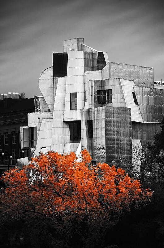 Blumwurks Poster featuring the photograph autumn at the Weisman by Matthew Blum