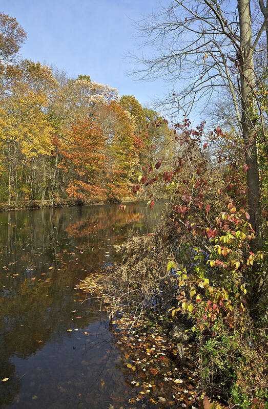 Autumn Poster featuring the photograph Autumn Colors on the Canal by David Letts