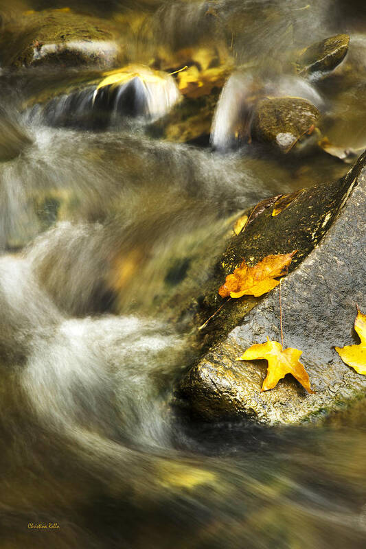 Autumn Poster featuring the photograph Autumn Creek by Christina Rollo