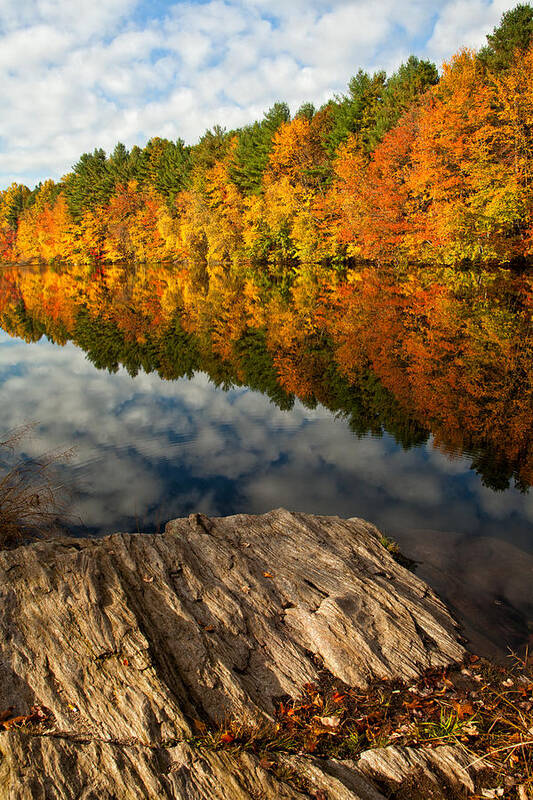 Autumn Poster featuring the photograph Autumn Day by Karol Livote