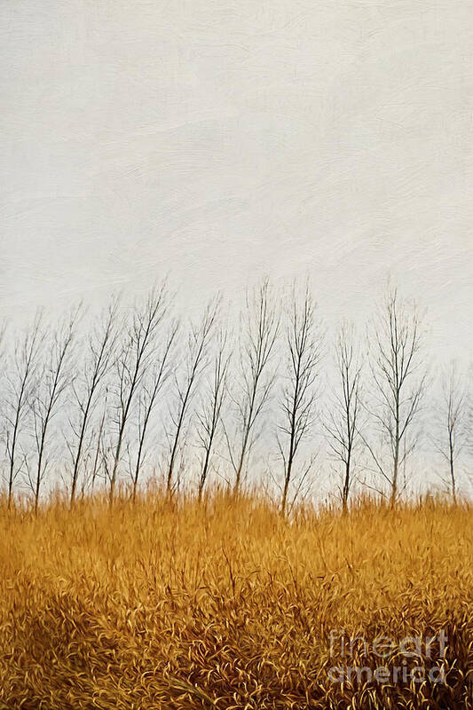 Autumn Poster featuring the photograph Autumn field of tall grass/digital painting by Sandra Cunningham