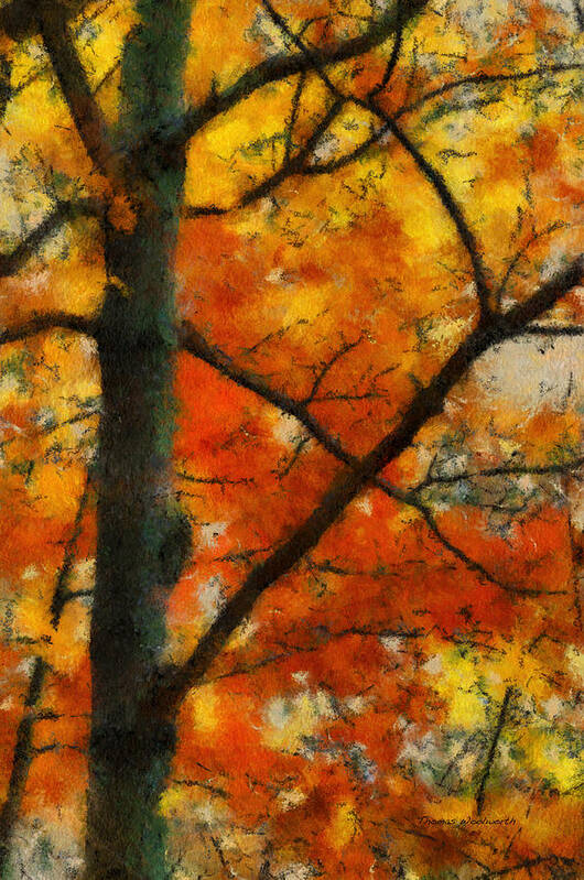 Orange Poster featuring the photograph Autumn In The Tree Stand 03 by Thomas Woolworth