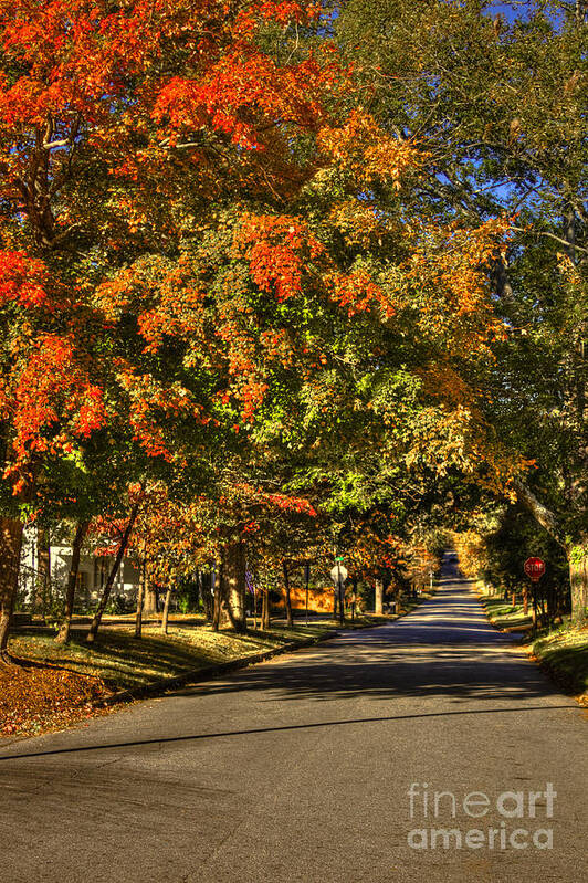 Reid Callaway Greensboro Poster featuring the photograph Autumn On South Street Greensboro GA by Reid Callaway