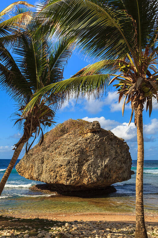 Barbados Poster featuring the photograph Barbados Beach by Raul Rodriguez