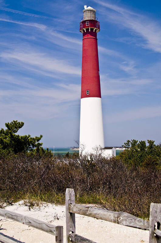 Nautical Poster featuring the photograph Barnegat Lighthouse by Anthony Sacco