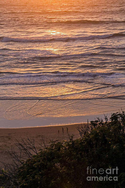 Beach Poster featuring the photograph Beach Sunset by Kate Brown