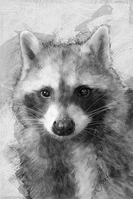 Raccoon Drawing Poster featuring the mixed media Beautiful Raccoon by Janet Garcia