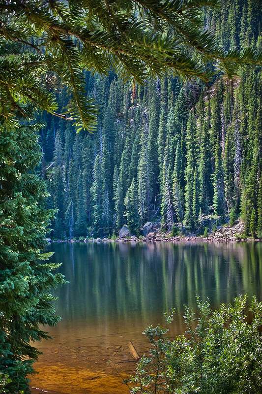 Landscape Poster featuring the photograph Beaver Lake by James Woody