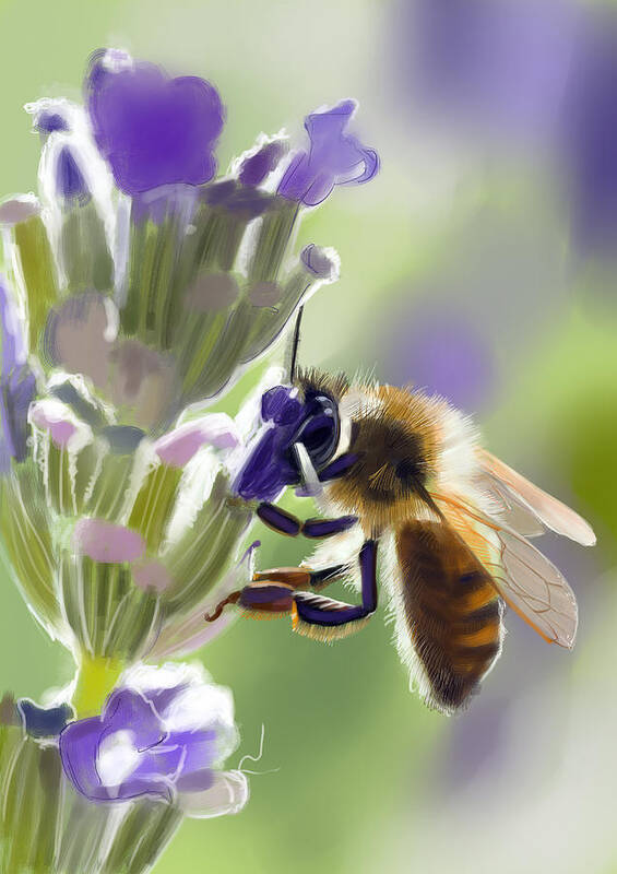 Flower Poster featuring the digital art Bee by Arie Van der Wijst