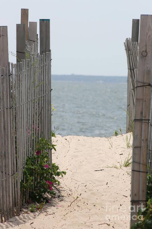 Barbara Bardzik Poster featuring the photograph Beyond the Dunes by Barbara Bardzik