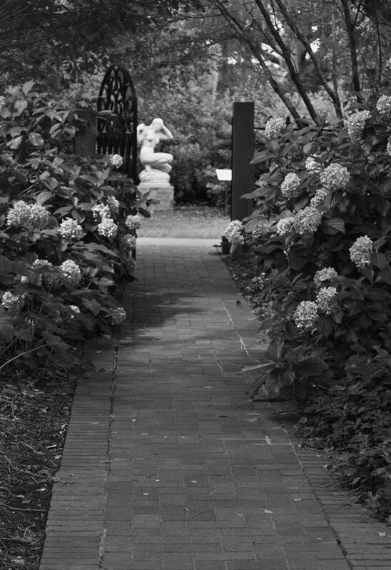 Photograph Poster featuring the photograph Beyond the Garden Gate - Black and White by Suzanne Gaff