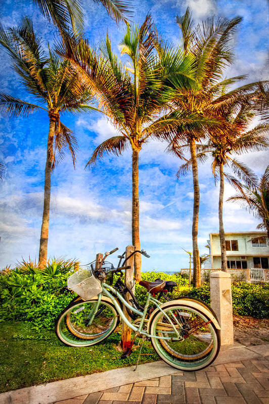 Clouds Poster featuring the photograph Bicycles Under the Palms by Debra and Dave Vanderlaan