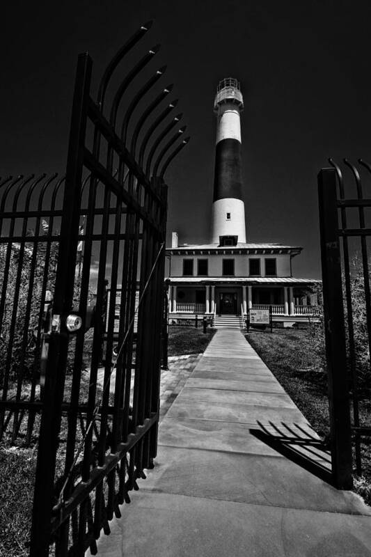 Black And White Poster featuring the photograph Big Dude by Robert McCubbin