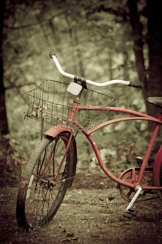 Bike Poster featuring the photograph Bike by Shane Holsclaw