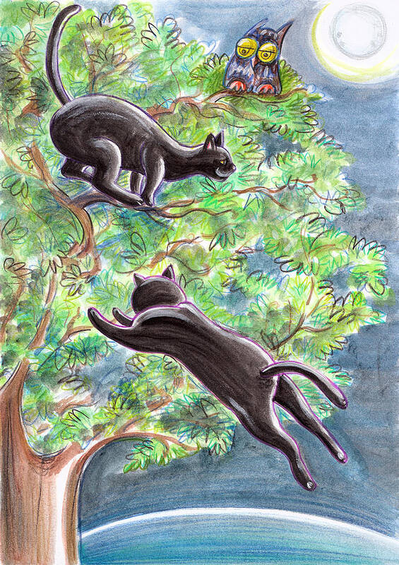 Cat Poster featuring the drawing Black Cats On A Tree by GRAAL Publishing