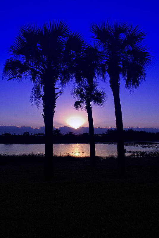 Seascape Poster featuring the photograph Blue Florida Sunrise by Susan Moody