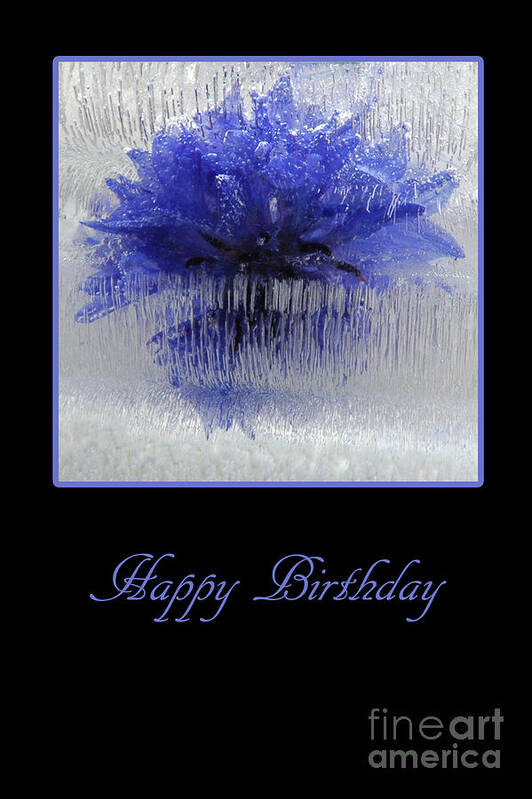 Birthday Poster featuring the photograph Blue Flower in Ice by Randi Grace Nilsberg