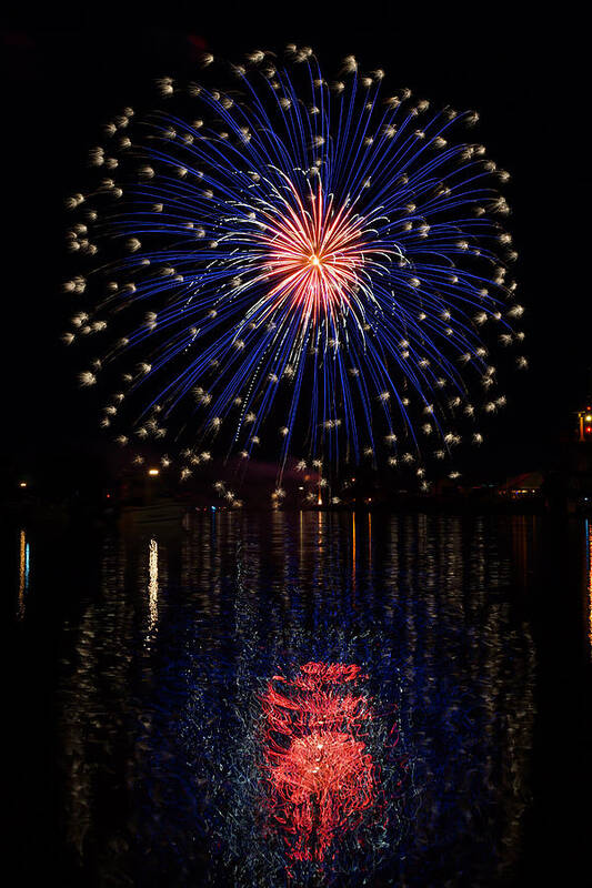 Fireworks Poster featuring the photograph Blue Spectacular by Bill Pevlor