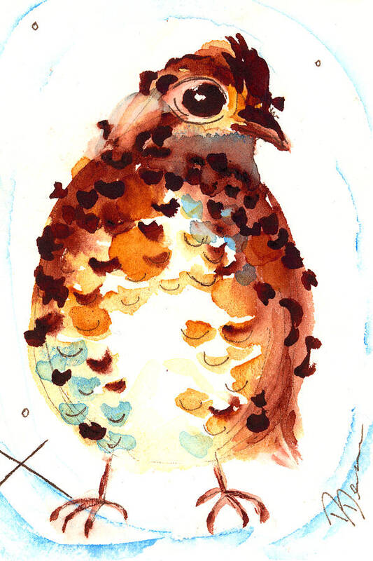 Bob White Quail Watercolor Poster featuring the painting Bob by Dawn Derman