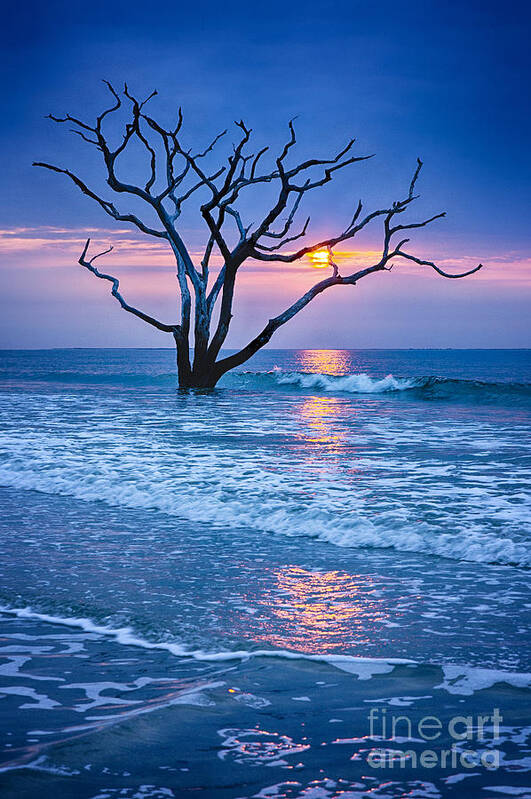 Charleston Poster featuring the photograph Botany Bay Sunrise 2 by Carrie Cranwill