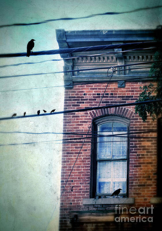 House Poster featuring the photograph Brick Building Birds on Wires by Jill Battaglia