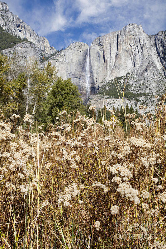 California Poster featuring the digital art Bridalveil Falls in Autumn by Susan Gary