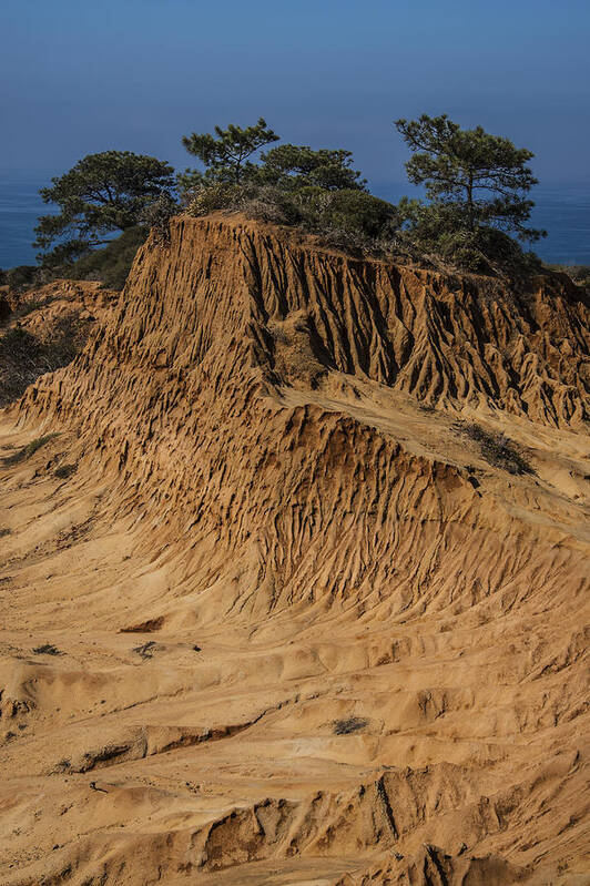 Photography Poster featuring the photograph Broken Hill Torrey Pines 1 by Lee Kirchhevel