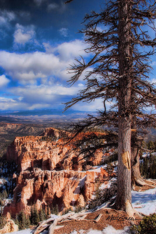 Brice Canyon Poster featuring the photograph Bryce Canyon 1 by Marti Green