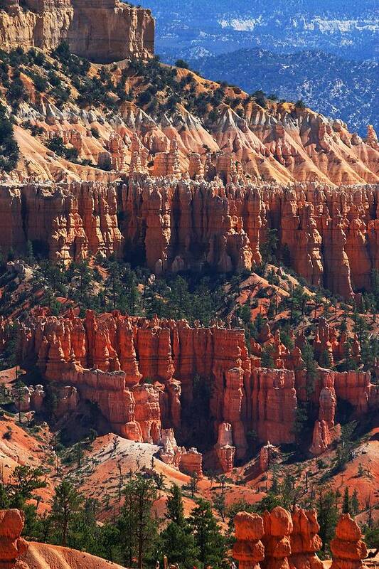 Bryce Canyon Poster featuring the photograph Bryce Canyon Utah by Tom Janca