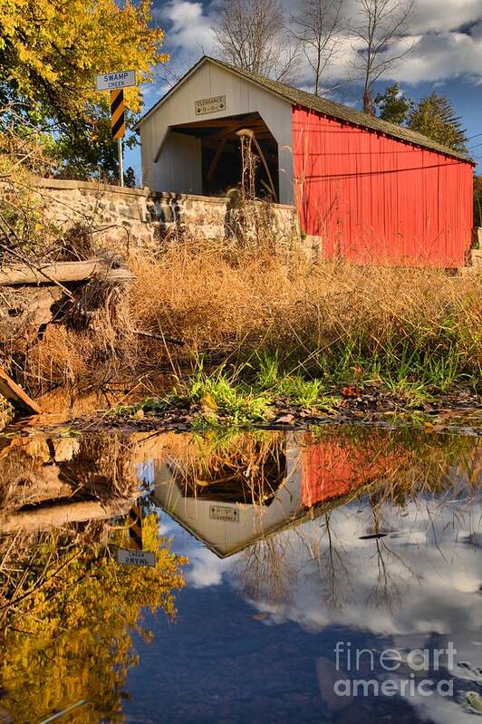 Erwinna Poster featuring the photograph Bucks County Swamp Creek Reflections by Adam Jewell