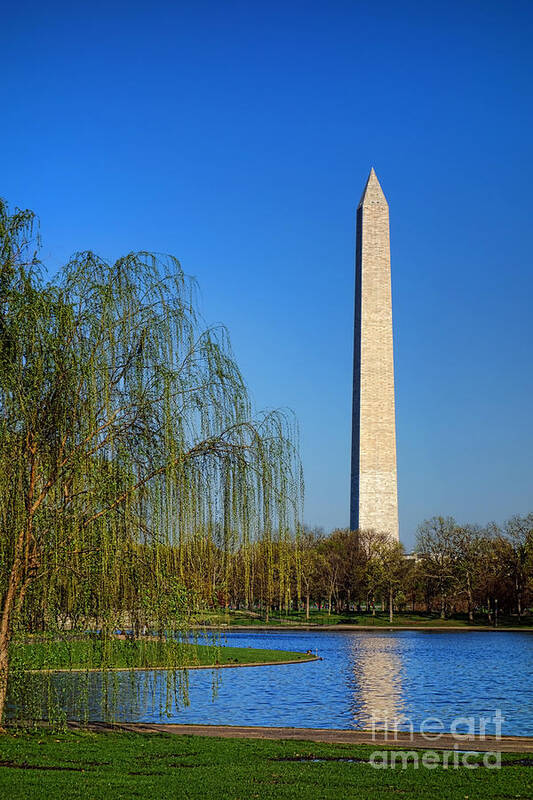 Washington Poster featuring the photograph Bucolic Washington by Olivier Le Queinec