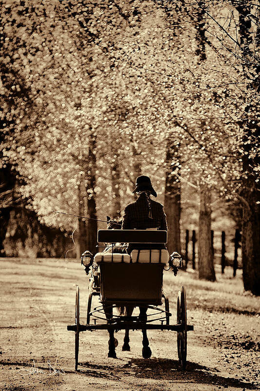 Flatlandsfoto Poster featuring the photograph Buggy Ride by Joan Davis