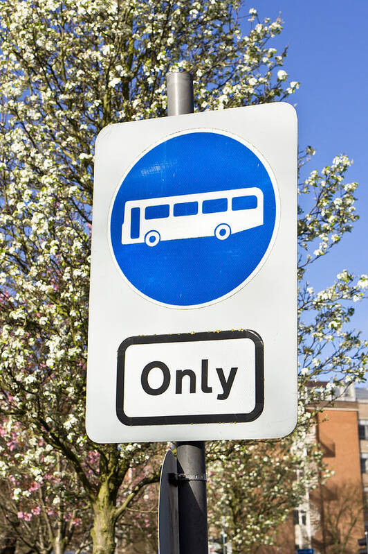 Amenity Poster featuring the photograph Bus only by Tom Gowanlock