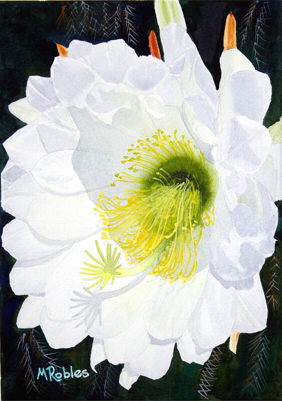 Flower Poster featuring the painting Cactus Flower II by Mike Robles