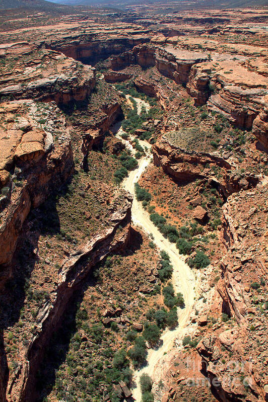 Havasu Canyon Poster featuring the photograph Canyon Trekking by Jim McCain
