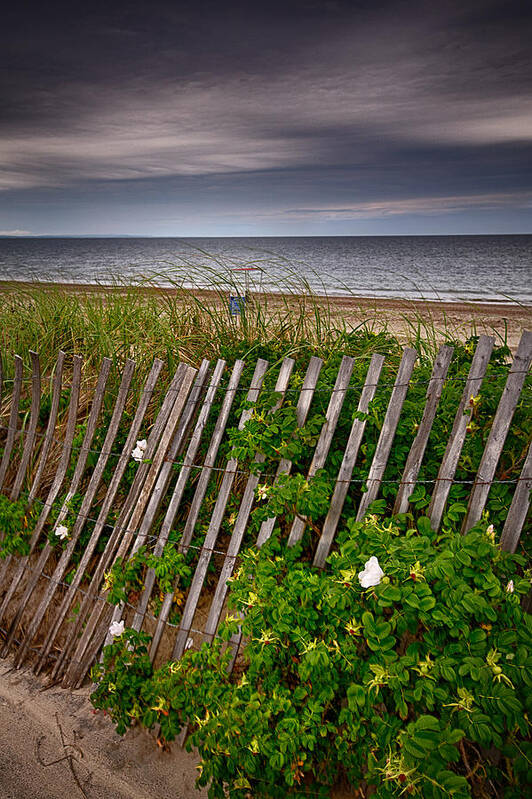 Cape Cod Poster featuring the photograph Cape Cod Evening by John Haldane