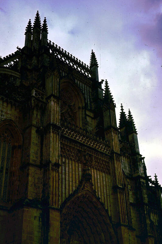 Cathedral Poster featuring the photograph Cathedral by Donna Walsh