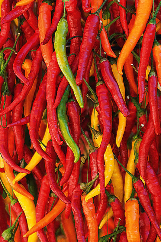 Chilli Peppers Photographs Poster featuring the photograph Chillies by David Davies