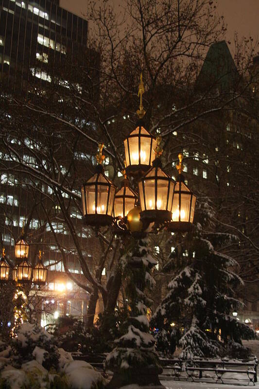 City Hall Park Poster featuring the photograph City Hall Park Lights by Vadim Levin