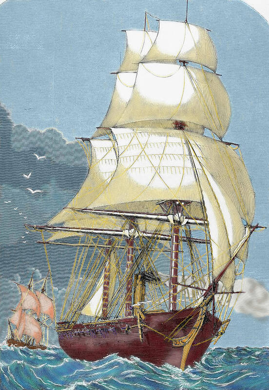 19th Century Poster featuring the photograph Clipper 19th-century Colored Engraving by Prisma Archivo