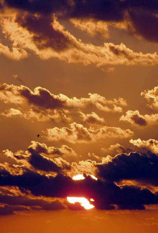 Sunset Poster featuring the photograph Key West Cloudy Sunset by Bob Slitzan