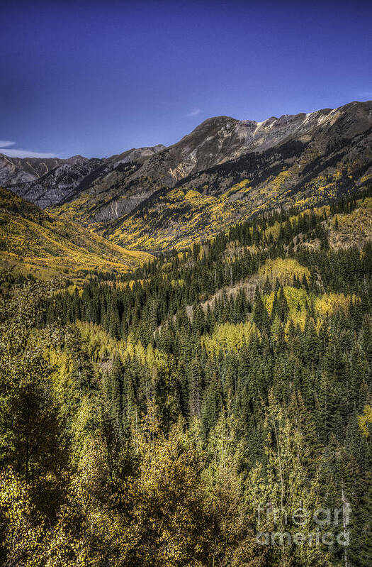 Fall Color Poster featuring the photograph Colorado 10 13 by David Waldrop