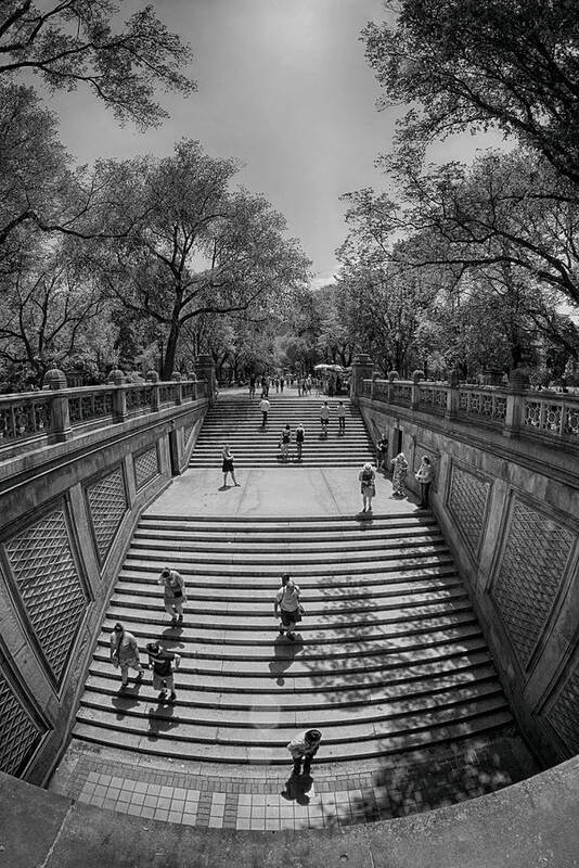 Central Park New York City Black White Commute Leisure Gray Grays Stairs Stone Cityscape Trees Photography Poster featuring the photograph Commute by Paul Watkins