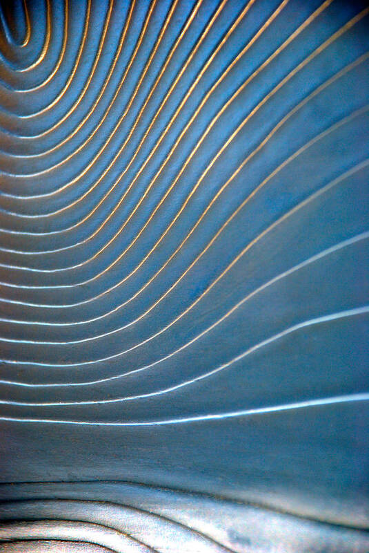 Light Poster featuring the photograph Contours 1 by Wendy Wilton